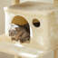 Barking 164cm H Cat Tree-89164594