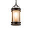 Wyant 1 - Light Pendant
