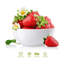 73.9ml Large Salad Bowl