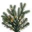 Sapin de Noël Douglas-132199128-132199129