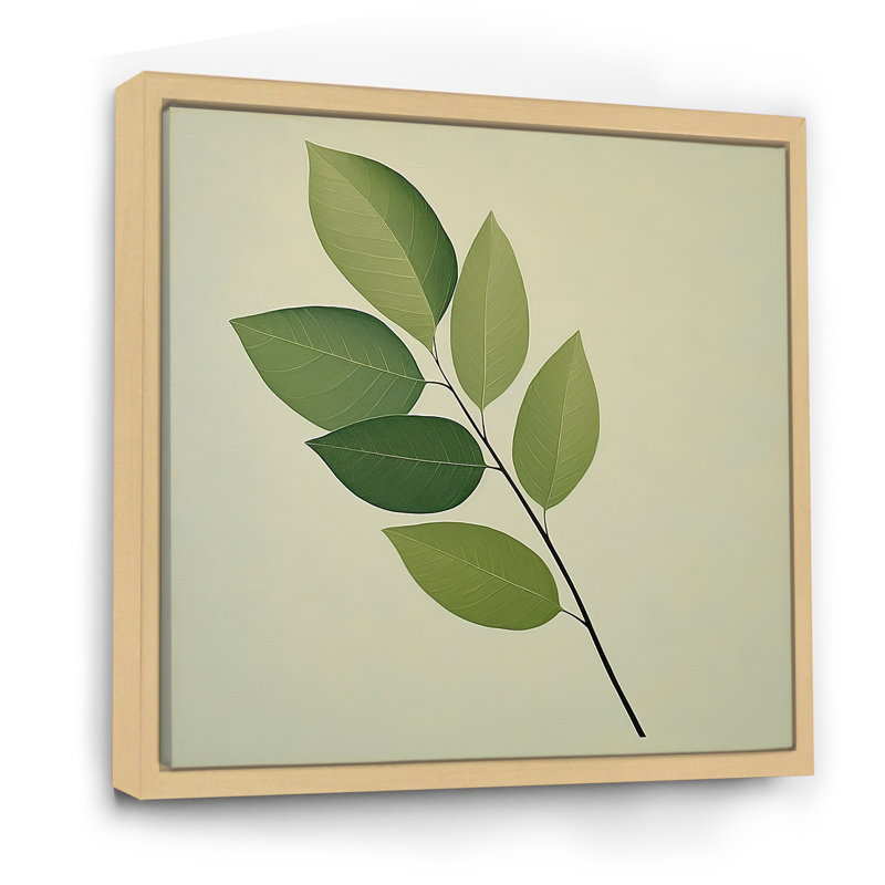 " Simplicity In Sage Leaves I ", Natural Floater Framed, 30" H x 30" W x 1" D
