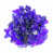Bleu de cobalt sélectionné