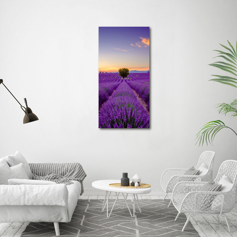 Lavender Field - Wrapped Canvas Print