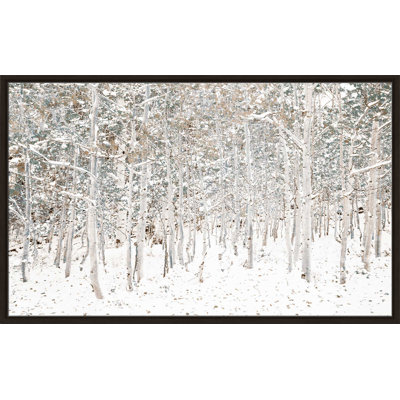 " White Snow Wonderland " by Shelley Lake