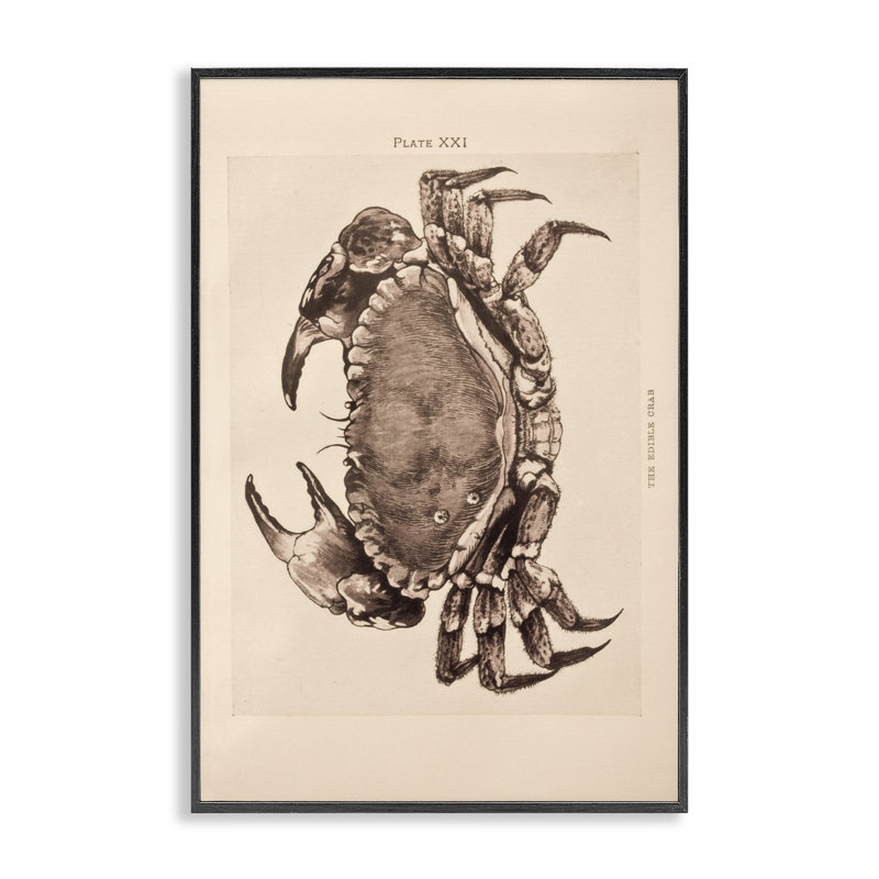 Art rétro, estampe numérique, conception par Deborah Revell, H 18 po x l 12 po, Giclée encadrée noir minuit