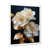 White Picture Frame
