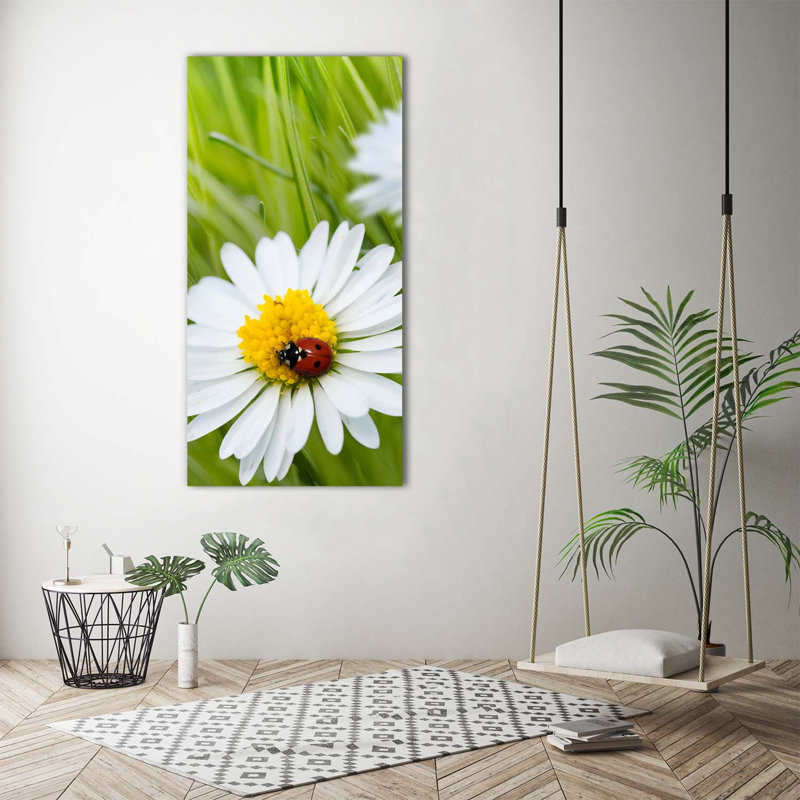 Daisies - Wrapped Canvas Print