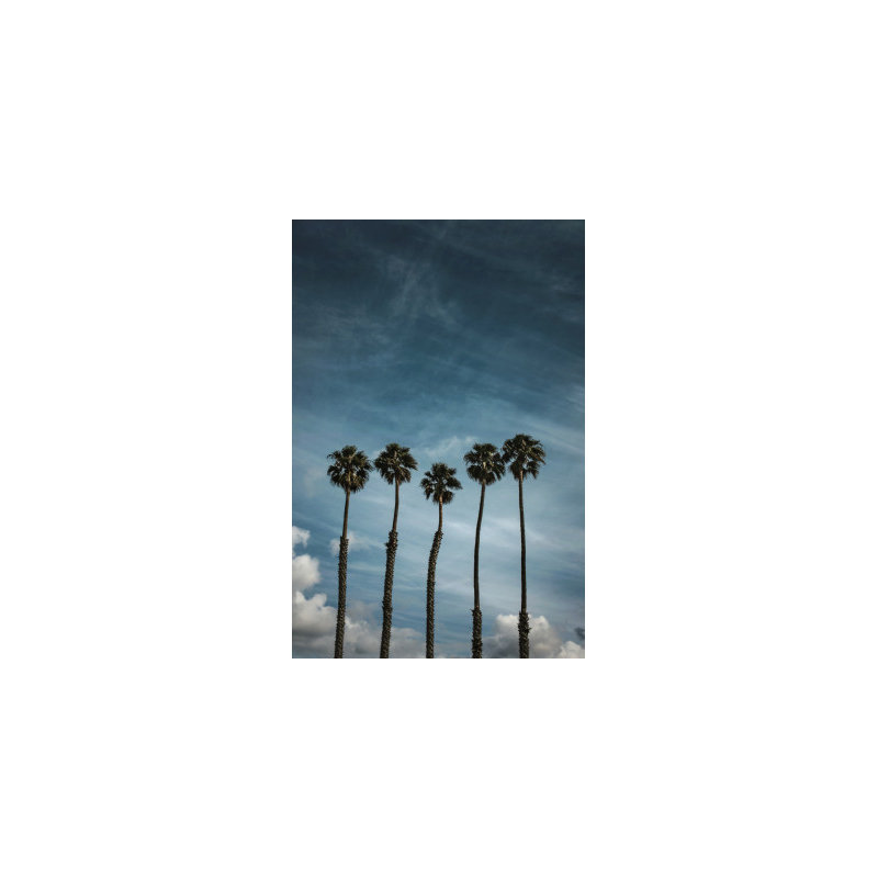 Wrapped Canvas Print, 50.8cm H x 76.2cm W