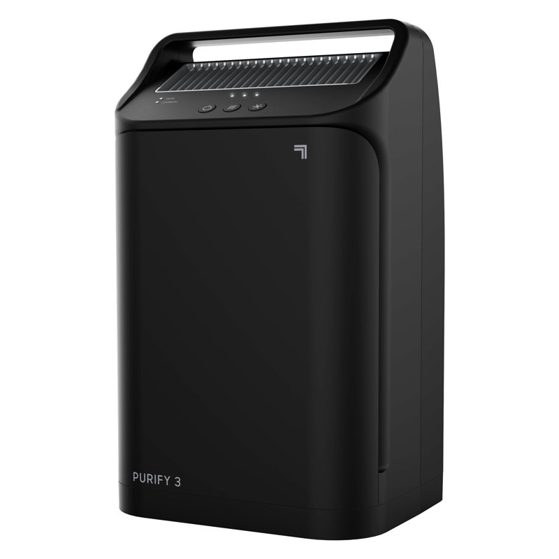 Black Portable HEPA Air Purifier with Odor Absorbing Filter