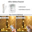 Brittley Indoor / Outdoor 100 - Bulb 1500 cm Battery Powered and Plug-in LED Fairy String Light