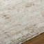 Cannes Hand Knotted Vintage Look Area Rug in Ivory-798956613