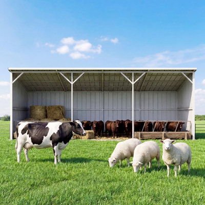 25FT x 12FT Metal Farm Shed, Heavy-Duty Steel Shelter for Equipment Storage Shed