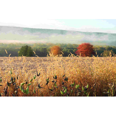 Abat-jour d'automne
