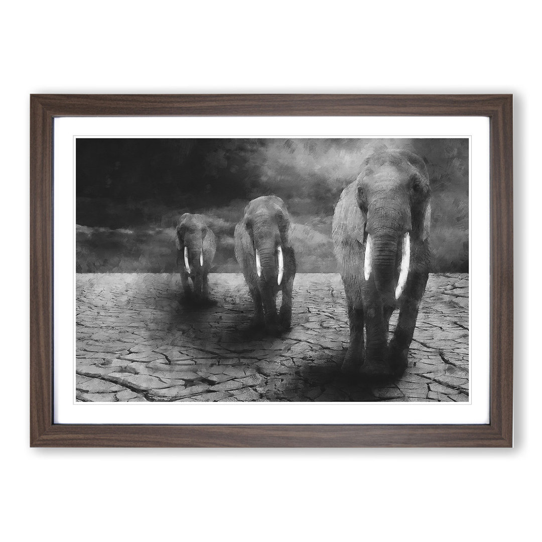 Three Elephants - Picture Frame Graphic Art