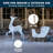 2 Piece Reindeer and Sleigh Lighted Display Set
