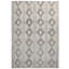 Geometric Area Rug in Beige