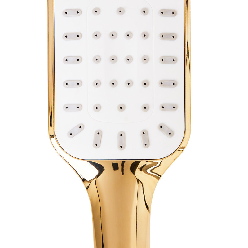 Shower Head and Hose Kit AMAJA, Gold