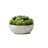 7'' Faux Succulent in Stone Pot-1220934403