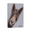 Rufus The Donkey - Wrapped Canvas Print-1418008584