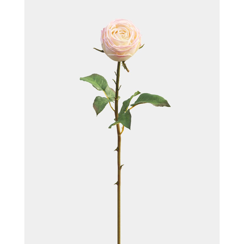 Rose anglaise Real Touch Crème Rose 24"