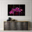Orchid On A Dark Background - 3 Piece No Frame Print on Canvas-1338348591