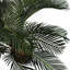 Anlin 80cm Faux Palm Tree in Pot
