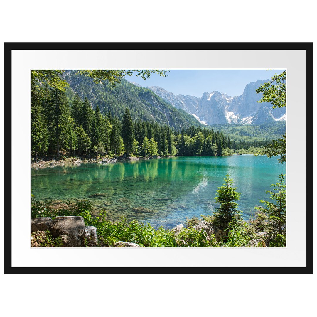 Gerahmtes Poster Wunderschöner See im Wald