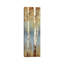 Butterscotch Birch Trees II by Allison Pearce - Panoramic Painting on Canvas-1961535527-1965363901