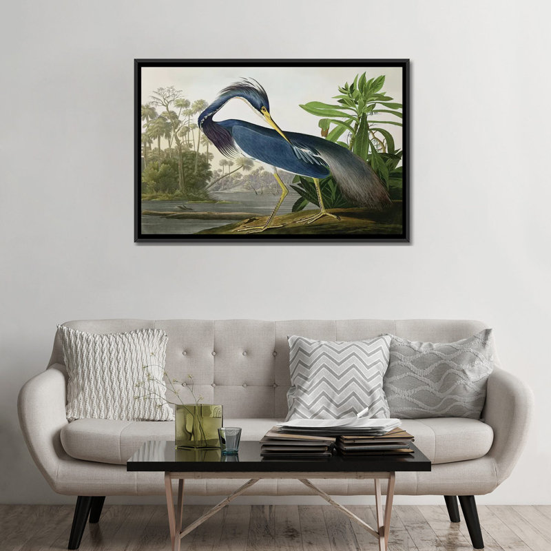 «Wick Louisiana Heron» par John James Audubon, reproduction sur toile, H 18 po x l 26 po, Impression encadrée, Blanc patiné