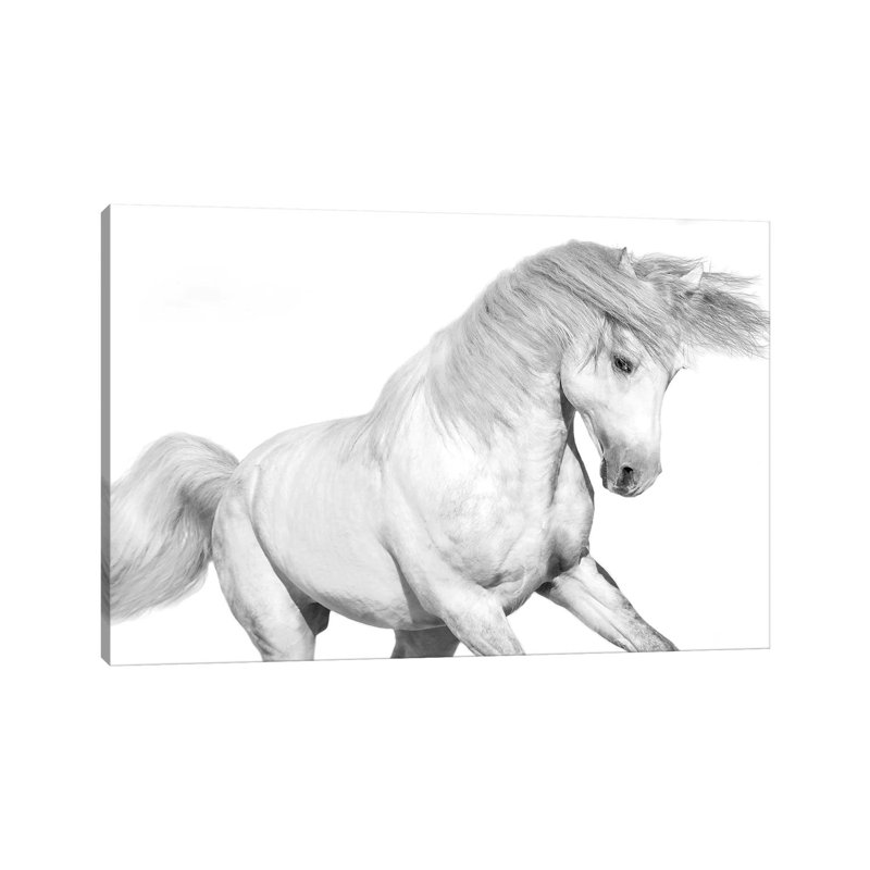 Solo II by Samantha Carter - Wrapped Canvas Painting, 20.32 cm H x 30.48 cm W