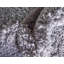 Tapis gris clair Canda-1348506364
