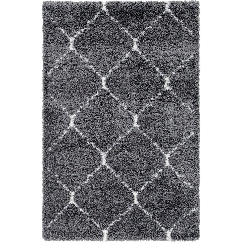 Burkart Trellis Shag Area Rug, Rectangle 122 x 183cm