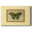 Butterfly Harmony II - impression sur toile tendue-1697973054
