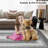 Boho Area Rug Small Throw Rugs 2x3 Braided Print Door Mat Modern Geometric Rug Indoor Washable Rug Distressed Aesthetic Carpet for Living Room Bedroom Nursery Kitchen, -1003194923