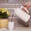 Cafetière à piston 34 oz Frielling-83967483