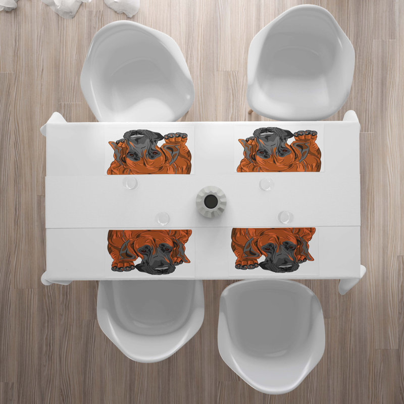 Récapitulatif 18,5" dog amateur
