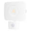 Ostler 1-Light LED Flood Light