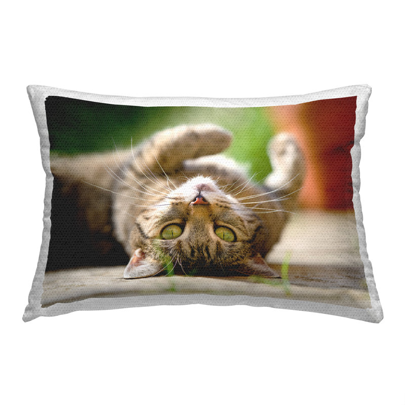 Housse et insert de coussin rectangulaire intérieur / extérieur en polyester par Jonathan Casey