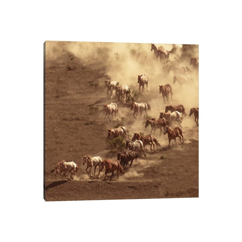 Dusty 1 Piece Wrapped Canvas Wall Art, 30.48 cm H x 30.48 cm W