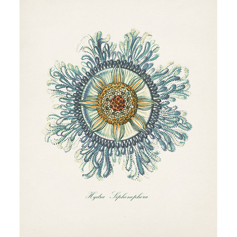 Nautical Art IV par Sofia Fox - impression, H 28 po x l 24 po x P 1,5 po, Extérieur