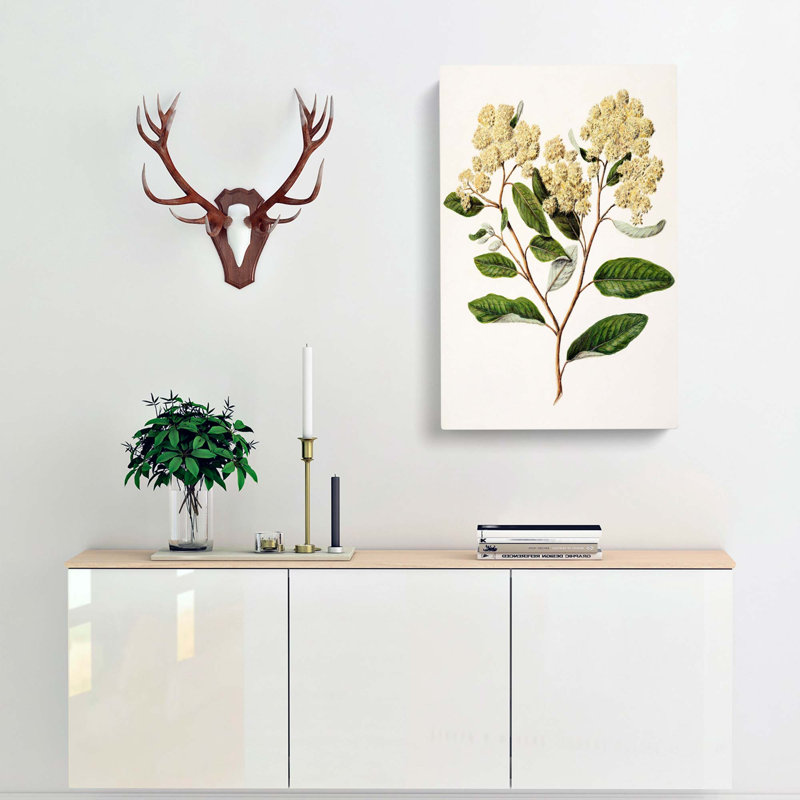Kumarahou Flowers by Sarah Featon - Wrapped Canvas Painting, 60cm H x 40cm W x 3cm D