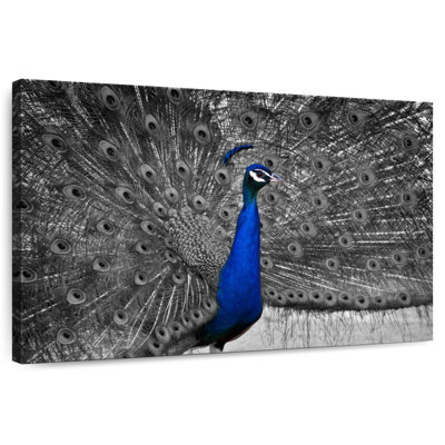 Corbeau bleu