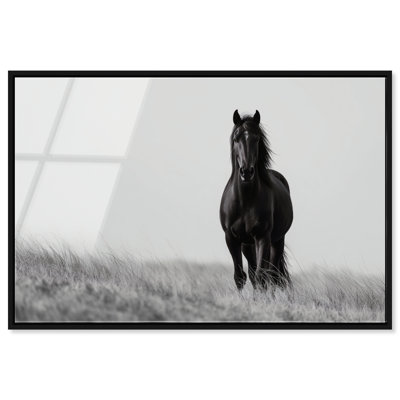 Lone Stallion I Print