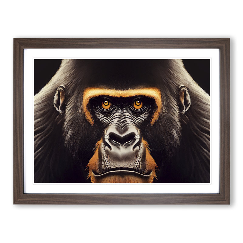 Captivating Gorilla - Single Picture Frame Print, Walnut, 34cm H x 46cm W x 2cm D