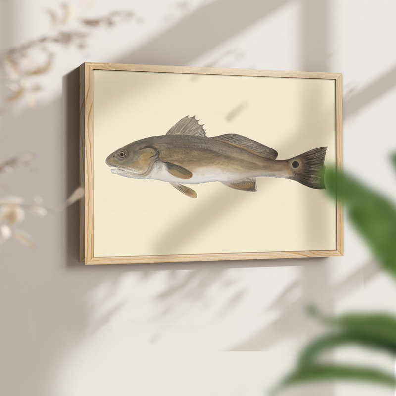 «Saltwater Species III», reproduction encadrée, H 8 po x l 10 po, Naturel
