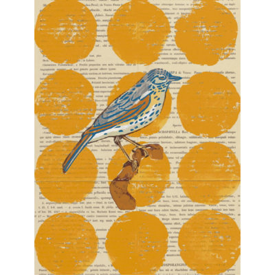 Bird Study I Print by Meredith Macleod