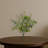 Eucalyptus Pick Artificial Plant