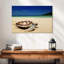 Tortue Brampt sur la plage-107720893