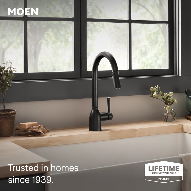 Adler Pull Down Single Handle Kitchen Faucet with Accessories, Matte Black