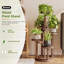 Plant Stand